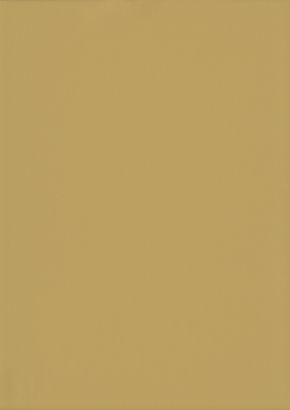 RENOLIT EXOFOL PX OCHRE YELLOW 1024 ULTI-MAT 
